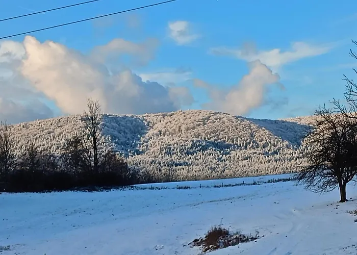 Domek Rodakowka