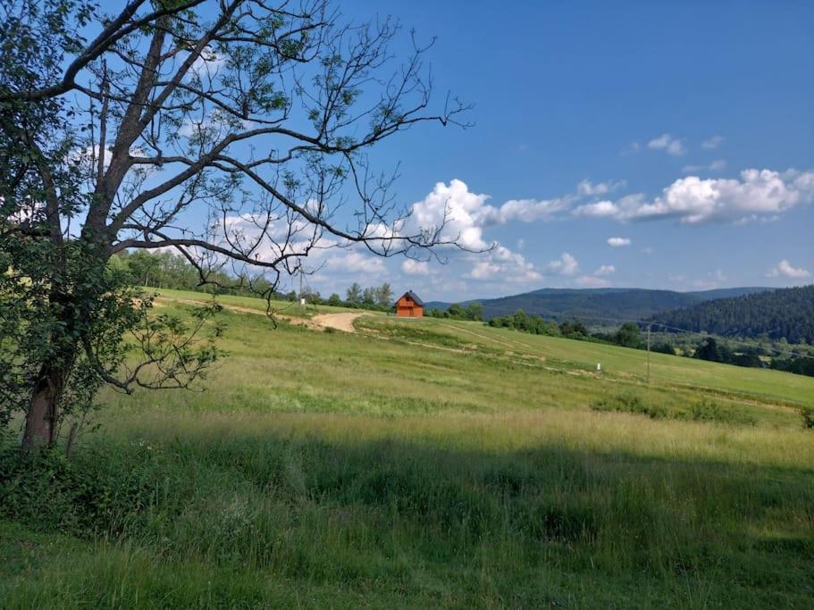 Rodakowka * Krempna