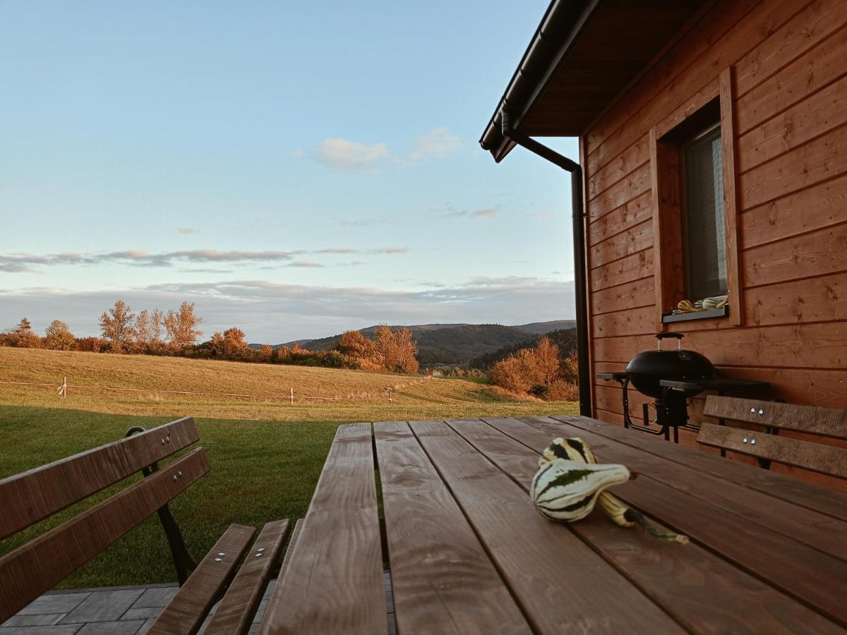 Rodakowka Villa Krempna